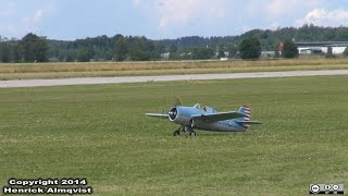 preview picture of video 'Grumman F4F Wildcat with Moki 215cc @ Arboga scale meeting - 20140719'