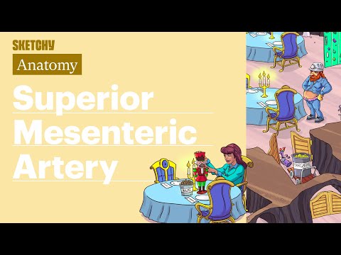 Superior Mesenteric Artery (Anatomy) | USMLE Step 1 | Sketchy Medical