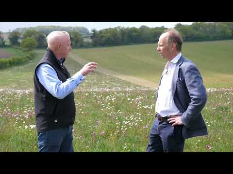 Interview with Jake Fiennes for the Knight Frank Rural Report 2022