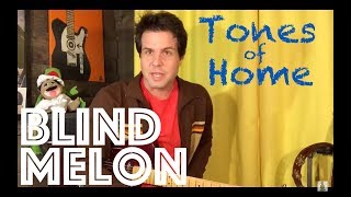 Guitar Lesson: How To Play Tones Of Home by Blind Melon