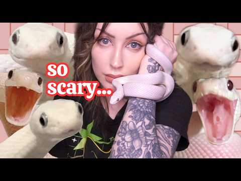 My Snake Tofu Makes No Sense