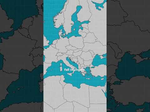 Maul- und Klauenseuche: In welchen Ausnahmeregelungen dürfen Tiere geimpft werden?  | AGES