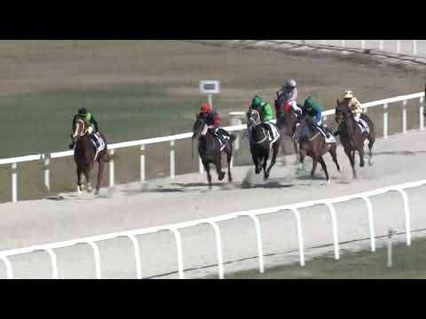 2019.03.31. 03. futam - IBOLYA HENDIKEP (II.o.) (szintetikus pálya)