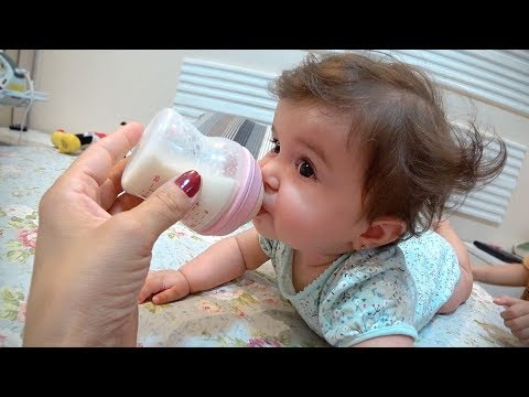 ROTINA DE FÉRIAS NO BRASIL!! Daily Vlog Familia Brancoala, Maikito, Laurinha e Craudete