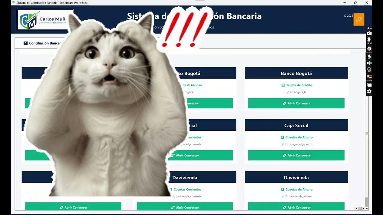 Vista previa Conciliacion Bancaria Automatizada