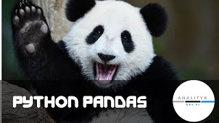 Python pandas - wszystko co trzeba wiedzieć, aby zacząć