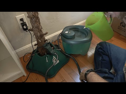 Grass Factor