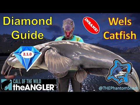 Wels Catfish Diamond Guide! Diamond Hook Strategy! - Spain Aguas Claras Reserve - COTW: The Angler