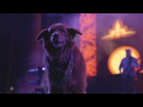 Stick Figure – "Way of Life" live at Cali Vibes Festival (2.17.23)