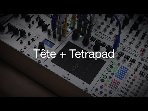 Intellijel Tête - Tetrapad Expander [Three Wave Music] image 2