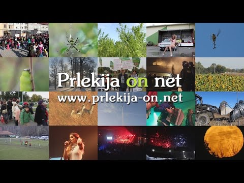 Prlekija-on.net - novice iz Prlekije