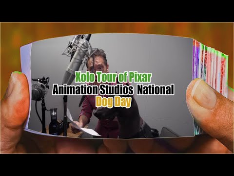 Xolo Tour of Pixar Animation Studios   National Dog Day