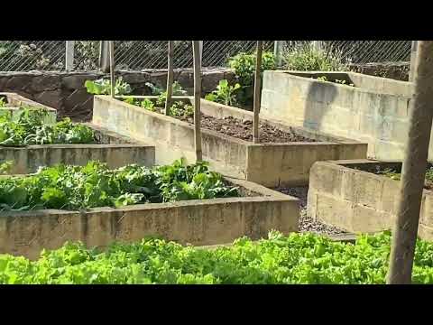 Viagem de Itatiba para capital Paulista São Paulo