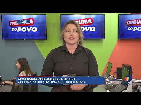 Caso de violência doméstica mobiliza Polícia Civil em Palmitos