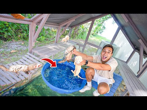 MINI LAGO PARA MEUS FURÕES NADAR da NOVA CASA