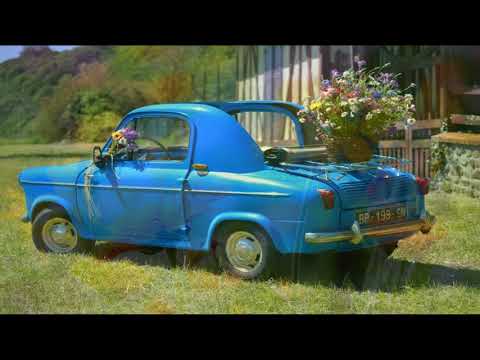 Gnade im Überfluss - Uwe Sauer