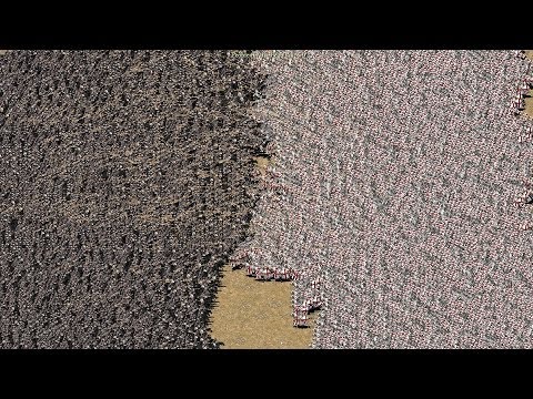 Stronghold Crusader HD - 5000 Knights vs 5000 Horse Archers [1080p/HD]