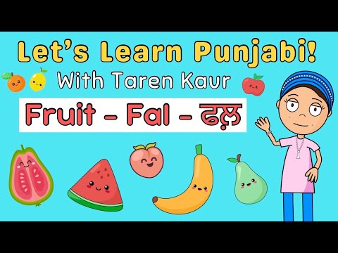 🍎 FRUIT - FAL ਫਲ਼ 🍊 Let's Learn Punjabi! With Taren Kaur | Fun Punjabi Learning Video For Kids