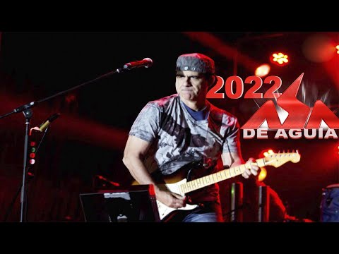 ASA DE ÁGUIA - SÓ AS MELHORES DA CARREIRA