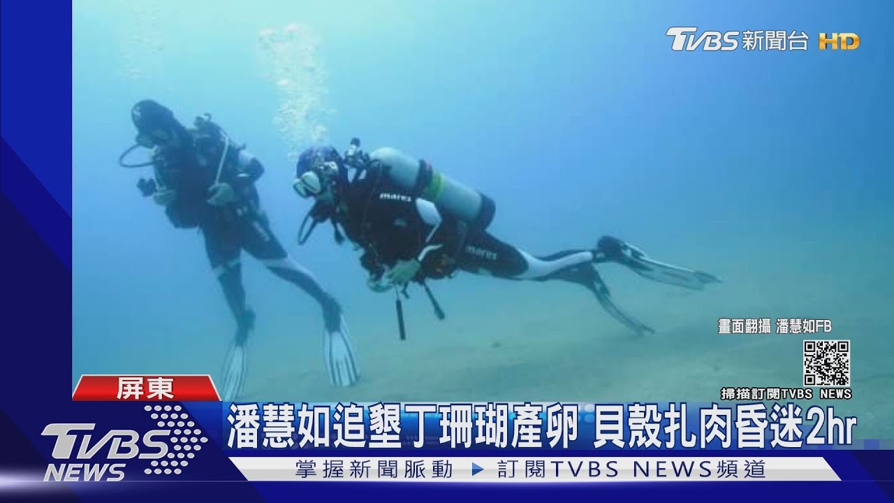 潘慧如追墾丁珊瑚產卵　貝殼扎肉昏迷2hr