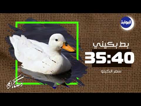 تعرف على أسعار الطيور اليوم في الأسواق 10 6 2018