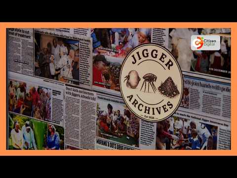 Nearly two-decade fight against jigger infestation marks milestone in Murang’a