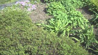 4 Thermo Pride central air-conditioners at a 9,000 square foot mansion!