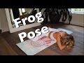 Yoga For Dummies Frog Pose