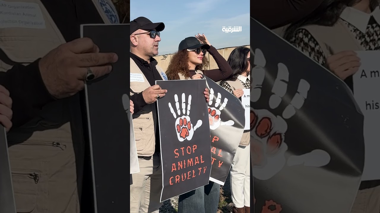 فيديو | ناشطون ينظمون وقفة أمام مقر الأمم المتحدة في #أربيل للمطالبة بحماية الكلاب من القتل في #العراق