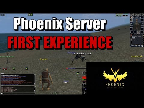 [Dark Age of Camelot] - Phoenix Server - FIRST EXPERIENCE