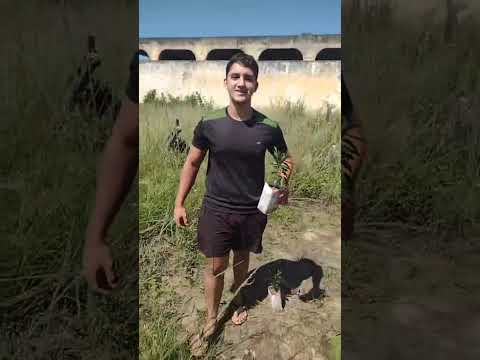 horta orgânica do bairro São João São Pedro da Aldeia RJ