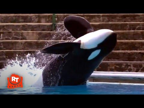 Free Willy - Willy Puts on a Show!