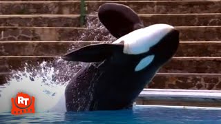 Free Willy - Willy Puts on a Show!