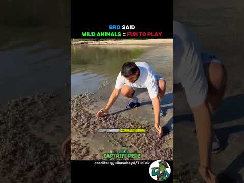 This Man Is ''Playing'' With Wild Animals 😳