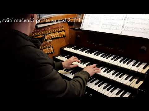 JKS 452 - Cirkev svätá (Spomienka na bl. Annu Kolesárovú)