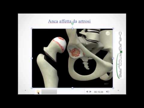 Cavallo articolazioni crema di potenza Trattiamo articolazioni gelatina