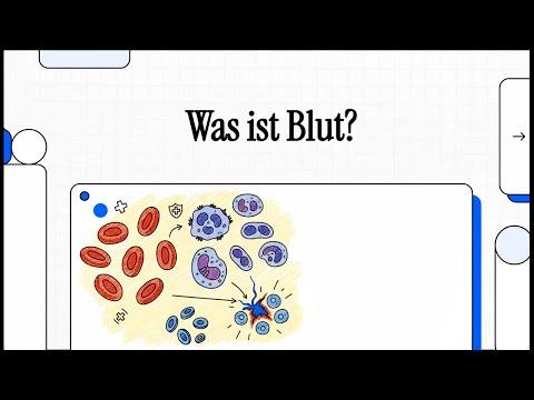 Was ist Blut? | EINFACH ERKLÄRT