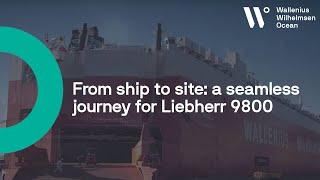 Liebherr R9800 Free Video Search Site Findclip