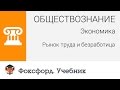 Обществознание. Экономика: Рынок труда и безработица. Центр онлайн-обучения ...