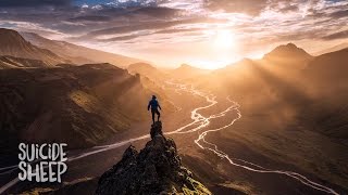 Tony Anderson - Journey