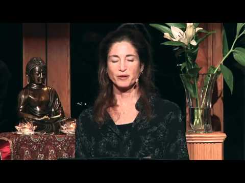 Tara Talks: Your Place of Safety - Tara Brach