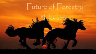 Future of Forestry  "Horses"