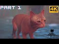 Stray Find Momo Part 1 Full Game Walkthrough