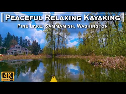 Peaceful Relaxing Kayaking - Pine Lake, Sammamish, WA 4K UHD with Sounds of Paddling, Birds, Ducks.
