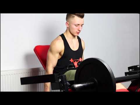 Videos from Tischner& Thomann GbR