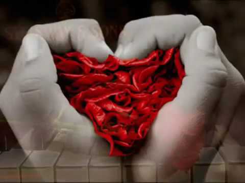 TE AMO CADA VEZ MAIS João Paulo & Daniel Legendado