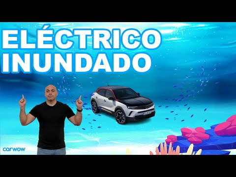 ¿SE PUEDE REPARAR UN COCHE ELÉCTRICO INUNDADO? VAMOS A VERLO