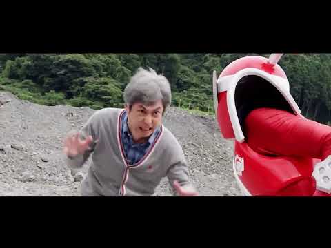 The Chaos of DonBrothers