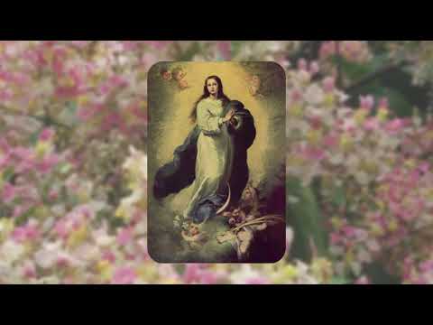 27 - A Rainha da Floresta - Hinário MEU Caminho