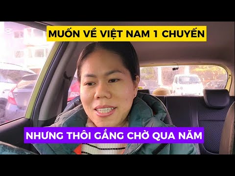 Gợi ý kênh YouTube về cuộc sống gia đình Hàn – Việt rất nhẹ nhàng